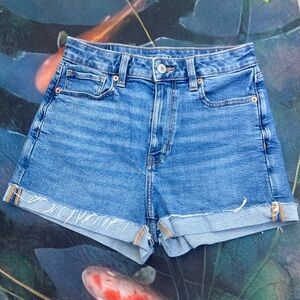 🐲💙AEO Mom Short